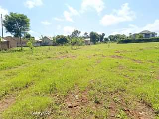 A picture of BUDDO PLOTS FOR SALE Plot size 50by100 ft Location Buddo