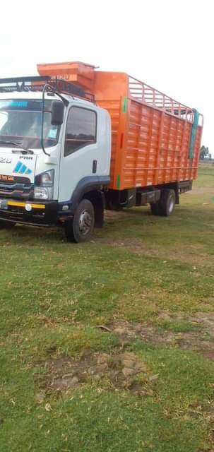 isuzu frr