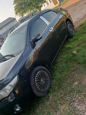 A picture of Toyota Corolla 013