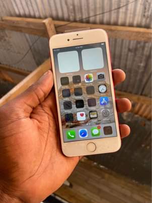 A picture of iPhone 7plain