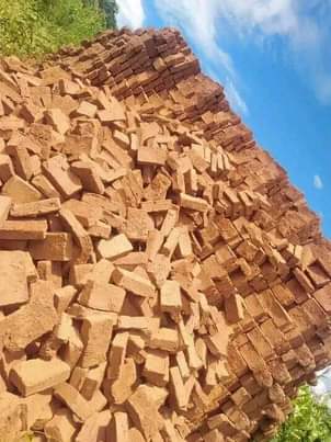 bricks