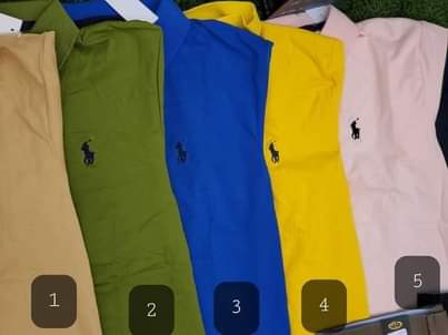 A picture of Polo t.shirts