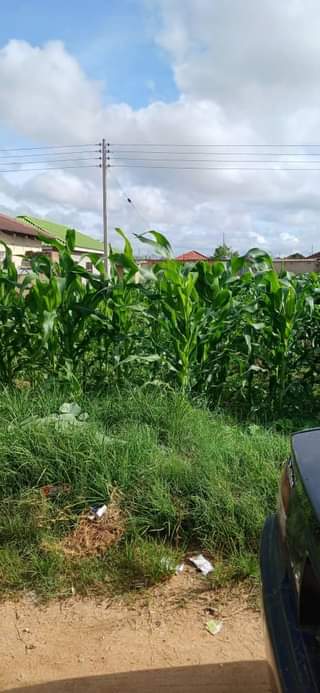 property southlea