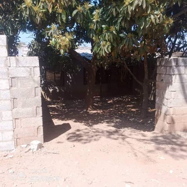 new kasama