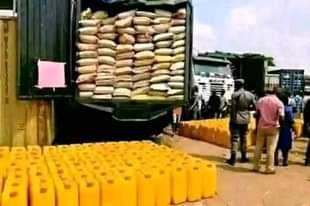 A picture of Rice