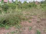A picture of 50 100fts for sale at mpererwe katta along buwambo road