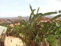 A picture of Makindye kizungu plot on 40 by 35 ft at 36