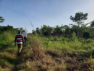 A picture of Plots for sale