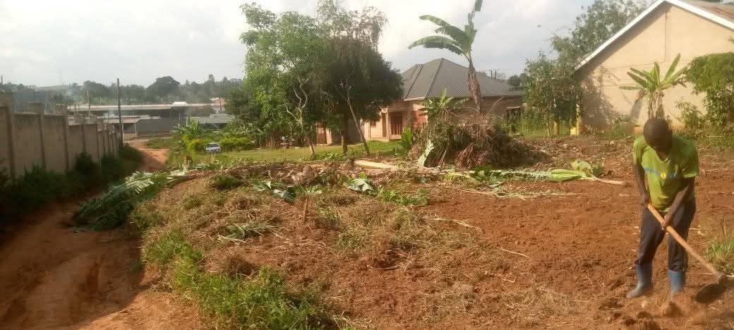 A picture of Plots at kikandwa kakiri