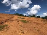 A picture of Kitende Nsangu plots