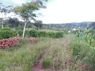 A picture of PLOT 50 100FT FOR SALE 