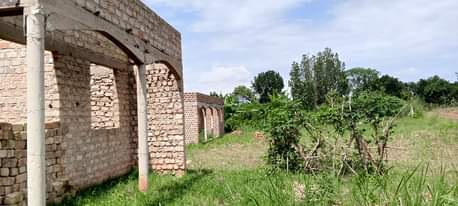 A picture of 20M UGX READY TITLE MATUGA KIWEBWA 1 5KM FROM BLACK