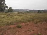 A picture of LAND
