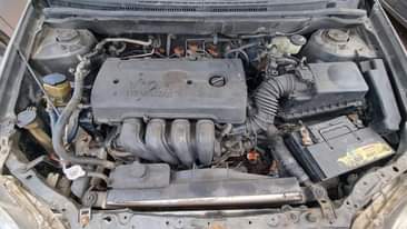 A picture of Corolla 07