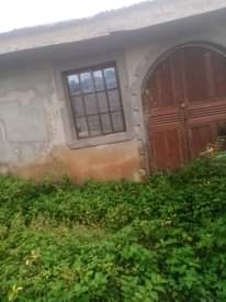 A picture of Divine Estate