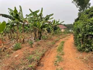 A picture of 2 Residential plots on quick sale at 6 5m each