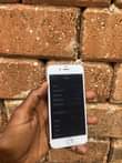 A picture of iPhone 6S
