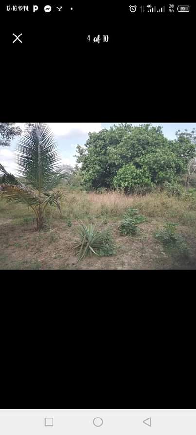 A picture of SHAMBA ZURI HEKA 5 LINAUZWA LIPO MZENGA ZEGERO KARIBU NA