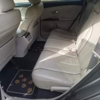 A picture of 2010 VENZA