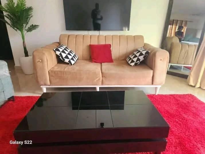 A picture of Sofas500k and 600k Tv 32inch 250kgas cylinder and fan