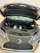 A picture of Lexus Rx350 2021