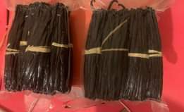 A picture of Vanilla beans planifolia