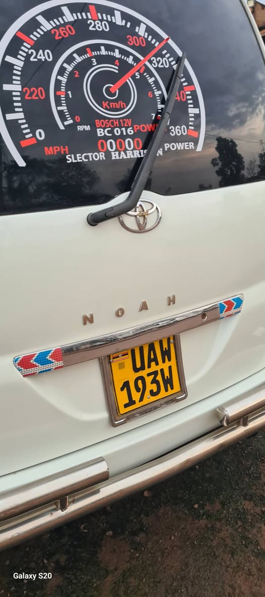 A picture of Noah