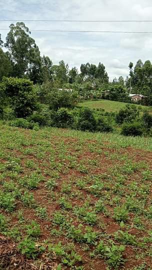 50 100 plots