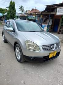 A picture of Nissan dualis