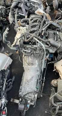A picture of motor spear