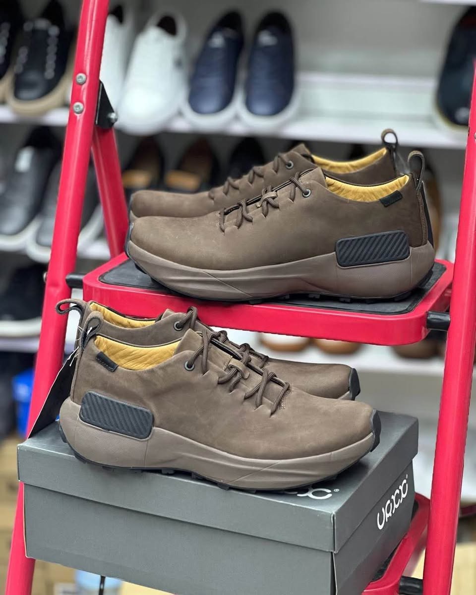 A picture of Ecco shoes