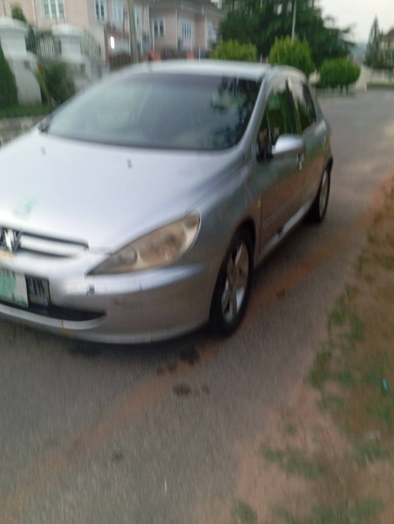 A picture of Automatic Peugeot 307 DISTRESS
