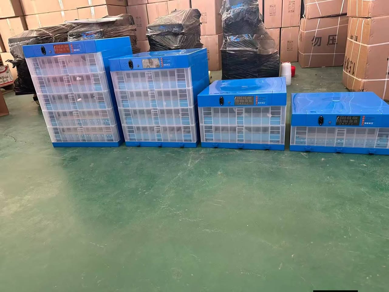 egg incubator