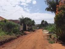Sewankambo A.
