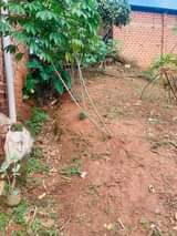 A picture of PLOT WITH SHELL HOUSE FOR SALE