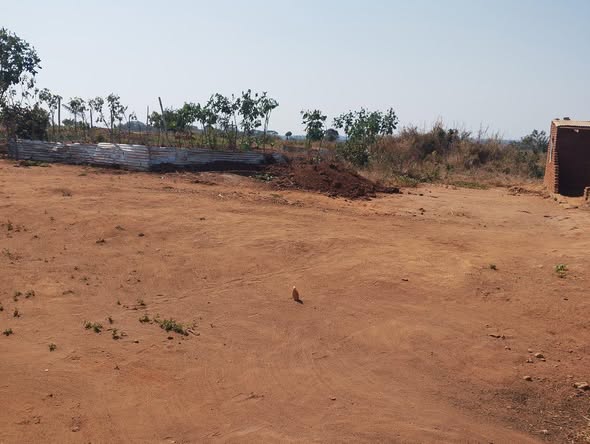 A picture of LAND FOR SALE SIZE 86 ACRES 265989849411