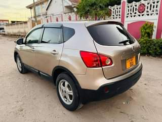 A picture of Nissan dualis