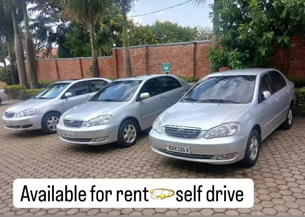 used toyota