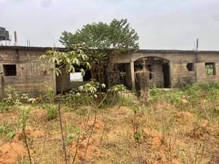 A picture of House