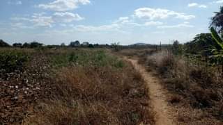 mwembeshi