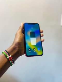A picture of IPHONE 11 PLAIN
