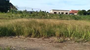 A picture of Nauza kiwanja