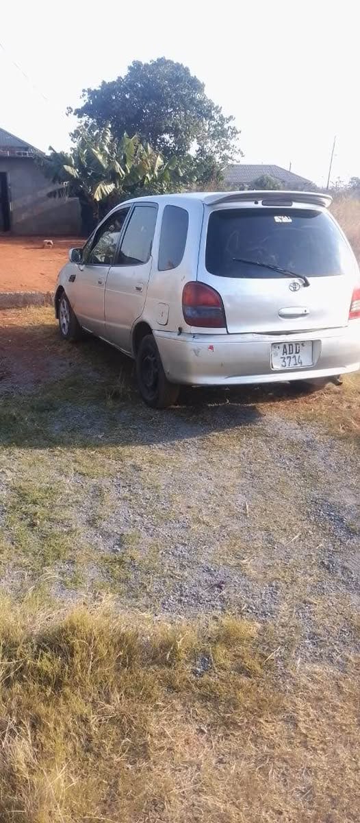 zed cars_under_50pin