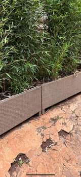 A picture of Rattan furniture s