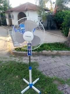 fans