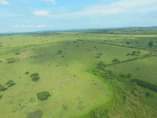 A picture of Nyakisharara 50 100 ft plots available WhatsApp 0781260064