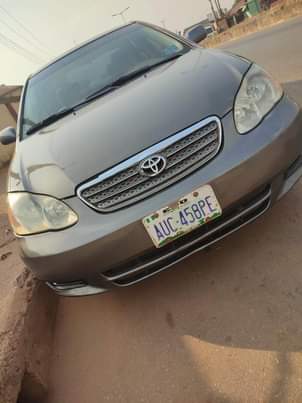 A picture of corolla