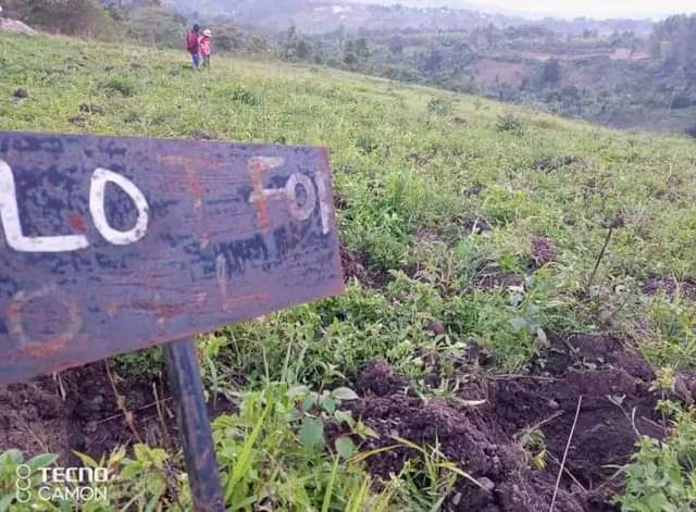 A picture of Plot of land