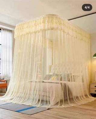A picture of Net