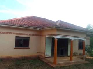 Gamucwa K.